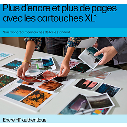 Cartouche d'Encre HP 305 Noire Authentique (3YM61AE)