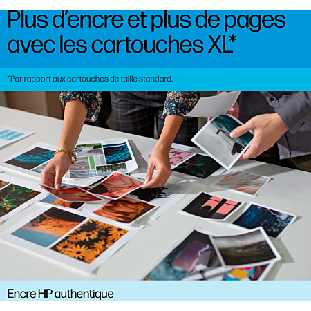 Cartouche d'Encre HP 305 Noire Authentique (3YM61AE)