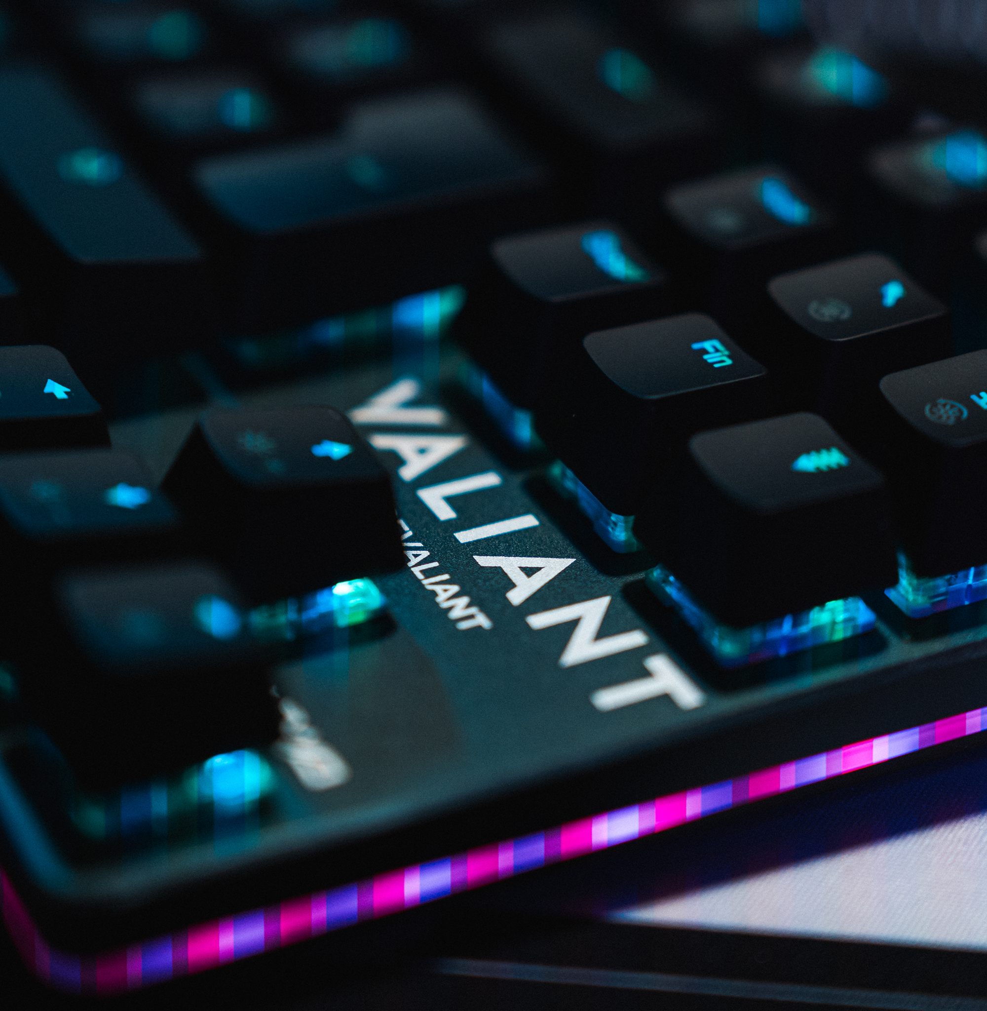 “Stellar” TKL Pro Keyboard