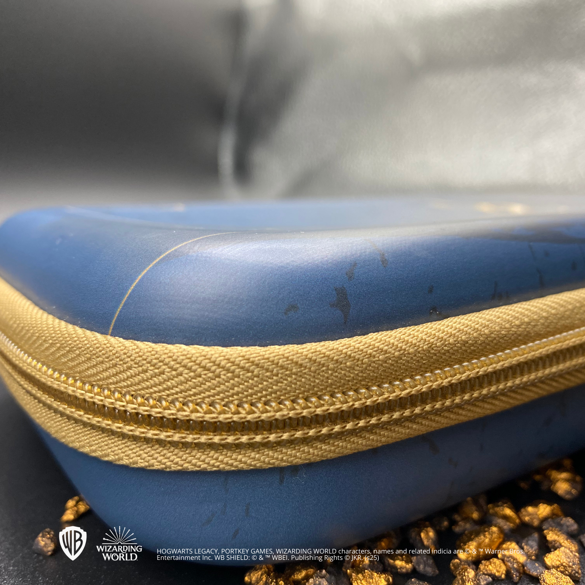 Carrying Case and Protection (Switch + Switch Lite)
