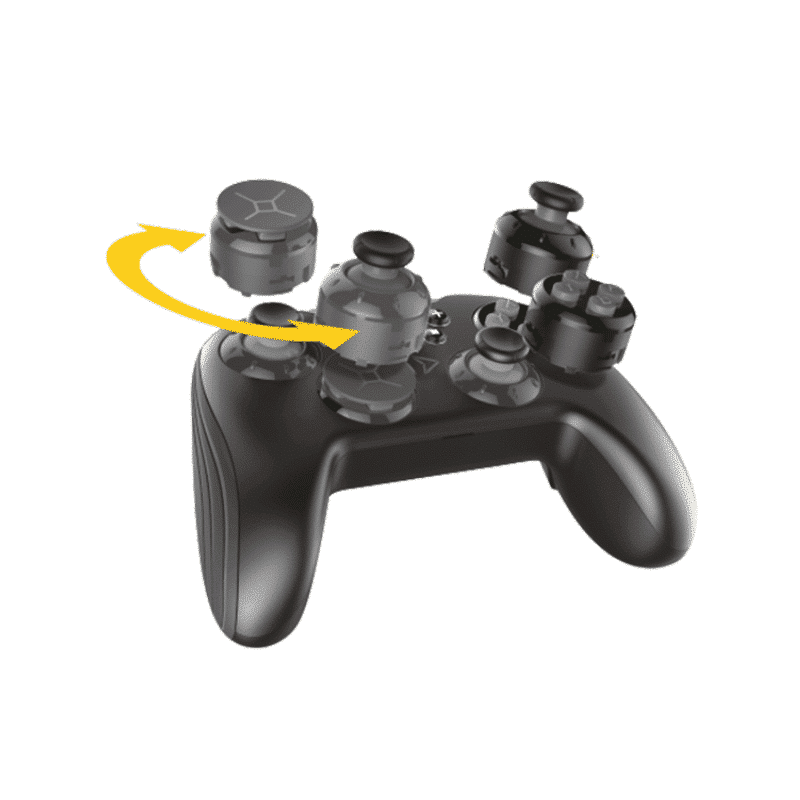Modular Controller - Switch Compatible + 2 Cases